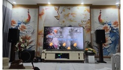 Nâng cấp dàn karaoke gia đình với loa KTreasure TD12 và Main PE2800