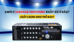 Amply Jarguar Suhyoung xuất xứ ở đâu? Chất lượng như thế nào?