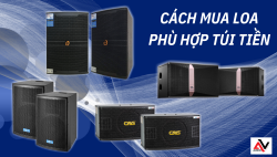 Chia sẻ kinh nghiệm mua loa phù hợp túi tiền