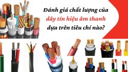 Đánh giá chất lượng của dây tín hiệu âm thanh dựa trên tiêu chí nào?