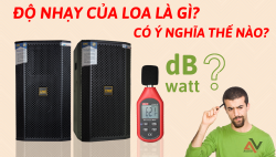Độ nhạy của loa là gì? Độ nhạy của loa có ý nghĩa thế nào?
