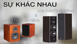 Loa 2 đường tiếng và loa 3 đường tiếng có gì khác nhau? Loa 2 đường tiếng và loa 3 đường tiếng có gì khác nhau?