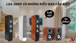 Loa Jamo và những điều bạn cần biết