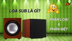 Loa sub là gì? Phân loại và phân biệt các dòng loa sub Loa sub là gì? Phân loại và phân biệt các dòng loa sub