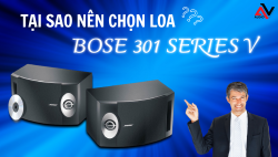 Những lý do bạn nên chọn loa Bose 301V để nghe nhạc, hát karaoke