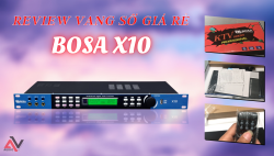 Tìm hiểu lý do vang số giá rẻ Bosa X10 được ưa chuộng