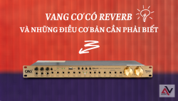 Vang cơ có reverb và những điều cơ bản cần phải biết