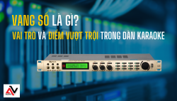 Vang số là gì? Vai trò và điểm vượt trội của vang số trong dàn karaoke