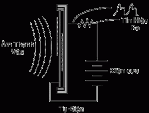 Chon-micro-karaoke-Dynamic-hay-Consender