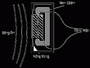 Chon-micro-karaoke-Dynamic-hay-Consender