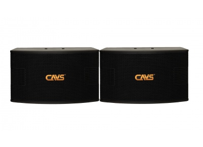 Loa CAVS 525SE