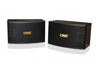 Loa CAVS A900SE