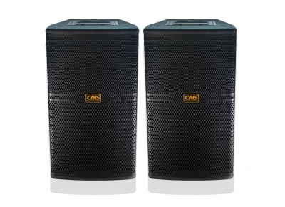 Loa CAVS CS-301E
