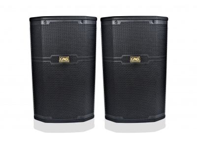 Loa CAVS CS-401E