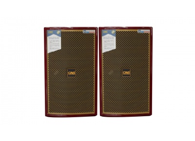 Loa CAVS LS-812