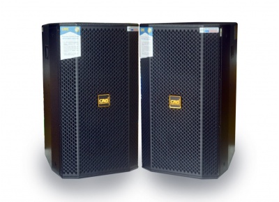 Loa CAVS P10 Pro