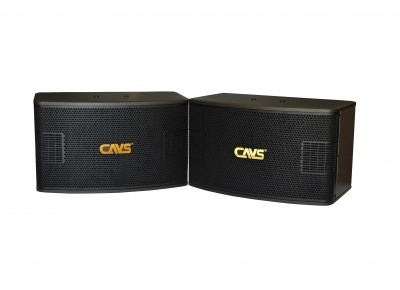 Loa CAVS SP-500
