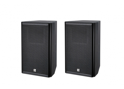 Loa KTreasure FE10 bass 25cm