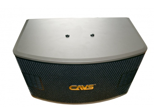 Loa-karaoke-CAVS-A900SE-chinh-hang