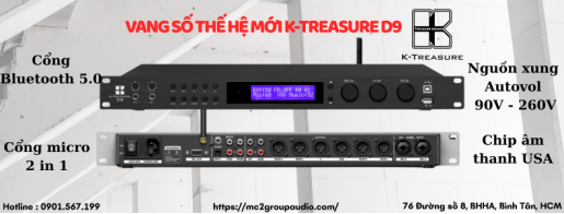 Vang Số KTreasure D9