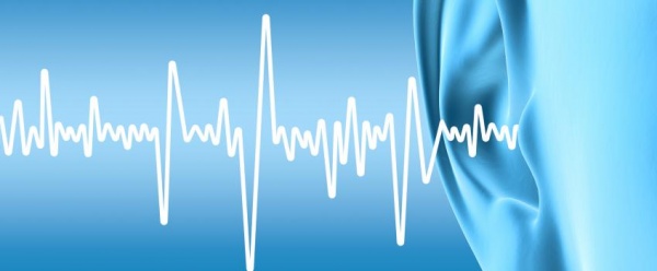 Nhung-luu-y-quan-trong-khi-lap-dat-am-thanh-hoi-truong