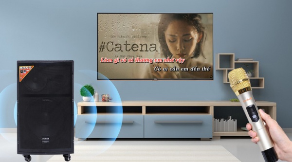 Loi-thuong-gap-o-loa-keo-di-dong-va-cach-khac-phuc