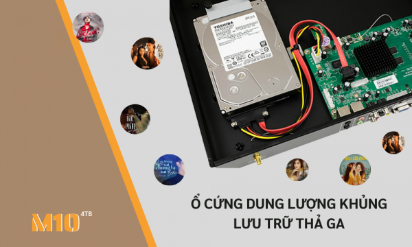 Dau-Okara-M10-4TB