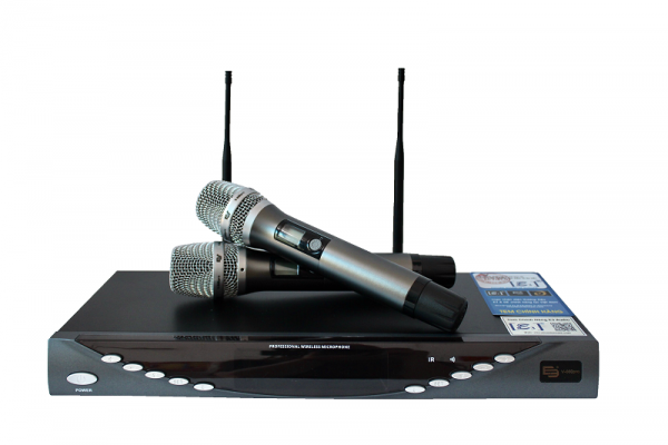 Dan-karaoke-gia-dinh-AV-14