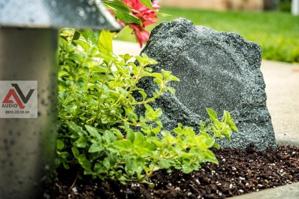 Tu-van-lap-dat-am-thanh-nhac-nen-chuyen-nghiep