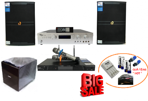 dan-karaoke-gia-dinh-e3