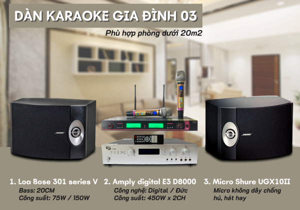 Dan-karaoke-gia-dinh-03