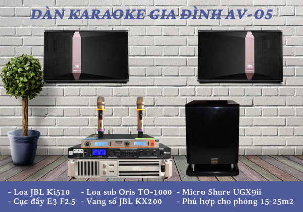 Dan-karaoke-gia-dinh-AV-05