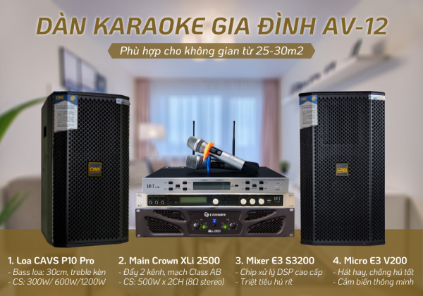 Dan-karaoke-gia-dinh-AV-12
