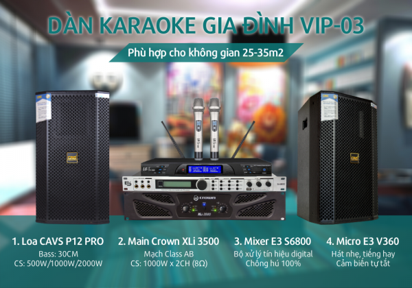 Dan-karaoke-gia-dinh-AV-13