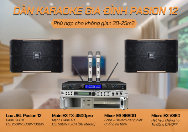 Dan-karaoke-gia-dinh-Pasion-12