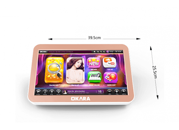Đầu Okara H10 3TB