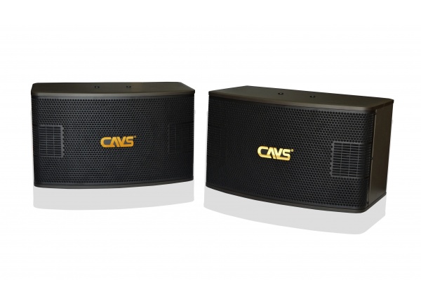 Loa CAVS A900SE