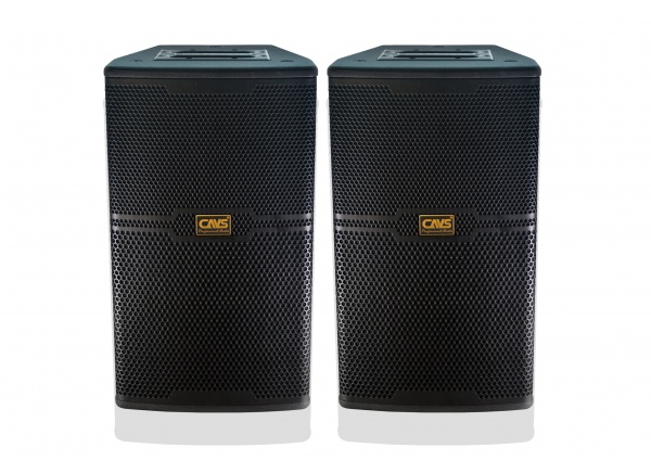 Loa CAVS CS-301E