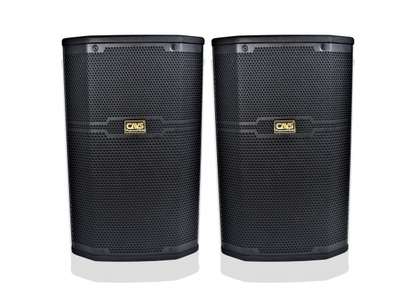Loa CAVS CS-401E