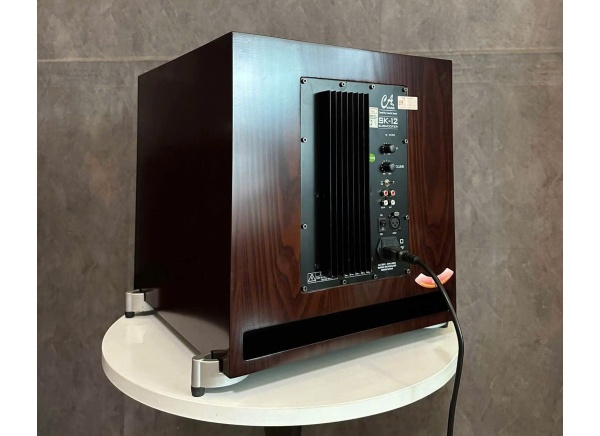 Sub điện CA SK12 công suất 300w, ngoại hình đẹp long lanh