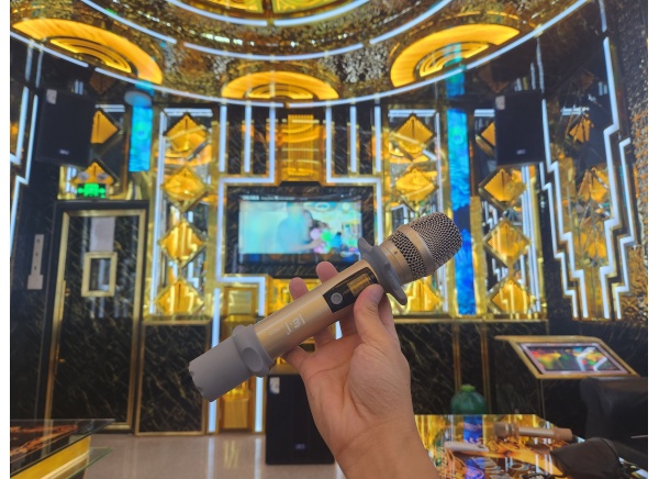 Micro E3 V660D Chuyên cho karaoke