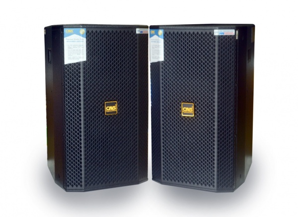 Loa-Full-CAVS-P12-PRO-chinh-hang