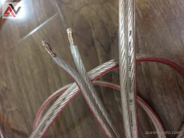 Cach-khac-phuc-loa-bi-re-bi-soi-tai-nha-ai-cung-lam-duoc