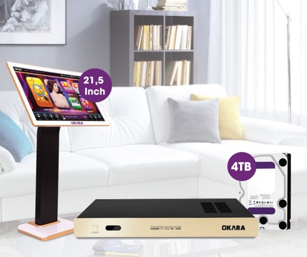 Dan-karaoke-kinh-doanh-E3-audio