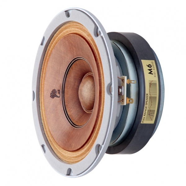 Loa-toan-dai-la-gi-Kinh-nghiem-chon-mua-loa-toan-dai