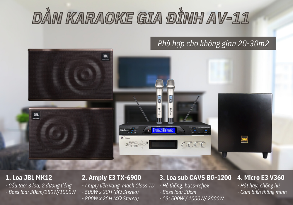 Dan-karaoke-gia-dinh-AV-11