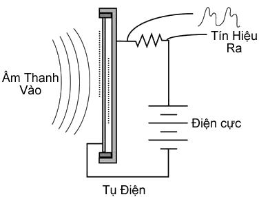 Chon-micro-karaoke-Dynamic-hay-Consender